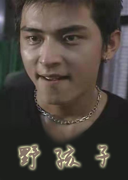 《野孩子》电影封面