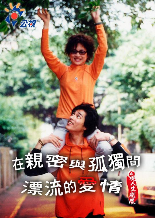 《在親密與孤獨間漂流的愛情》电影封面