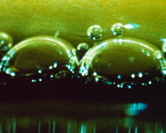 《玉》电影封面