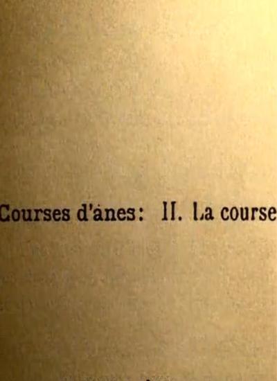 《赛驴》纪录片封面