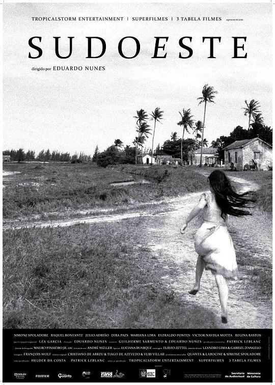 《西南》电影封面