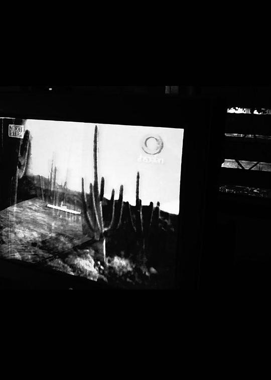 《仙人掌之河》纪录片封面