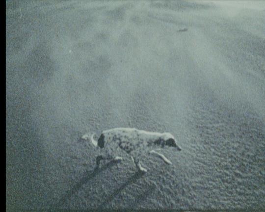 《逃亡》纪录片封面