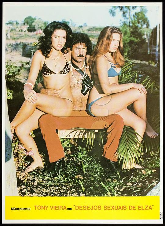 《艾尔莎的性欲》电影封面