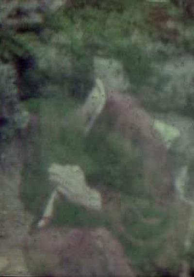 《形見》电影封面