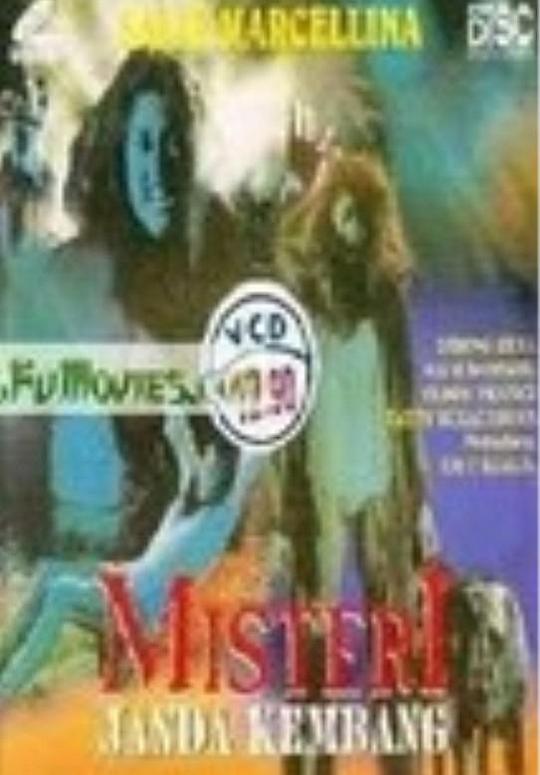 《神秘风流寡妇》电影封面