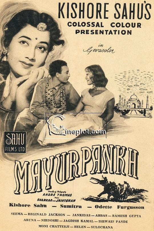 《孔雀的羽毛》电影封面