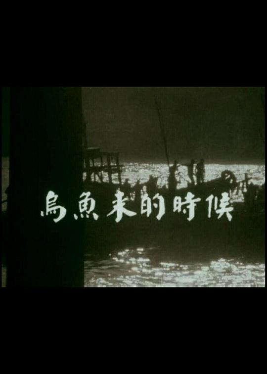 《乌鱼来的时候》纪录片封面