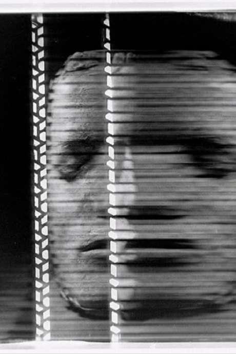 《Volto telato》电影封面