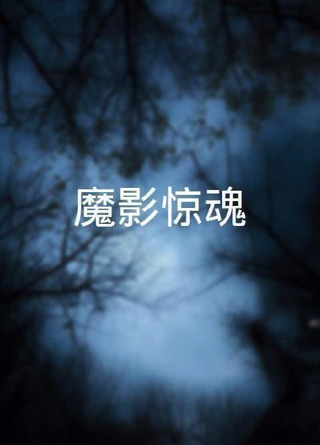 《魔影惊魂》电影封面