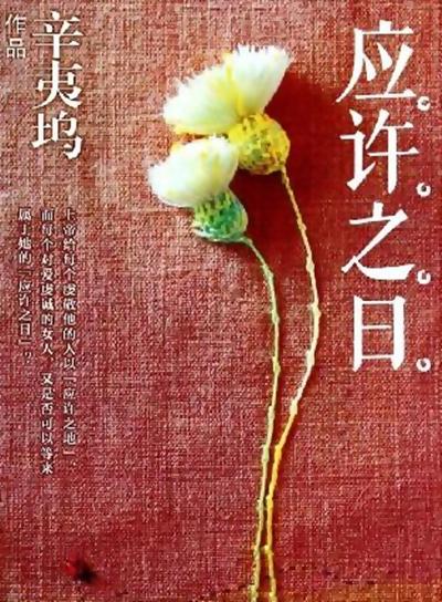 《应许之日》电影封面