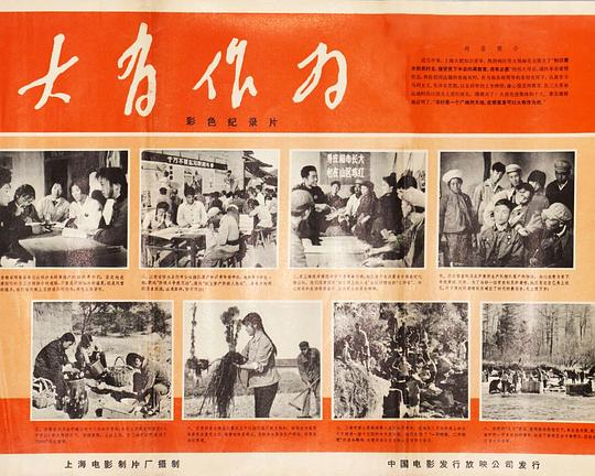 《大有作为》纪录片封面