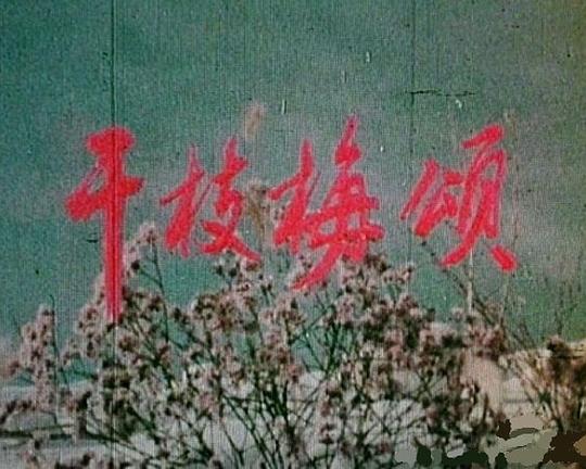 《干枝梅颂》纪录片封面