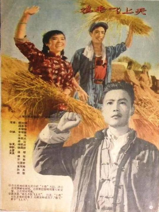 《鸡毛飞上天》电影封面