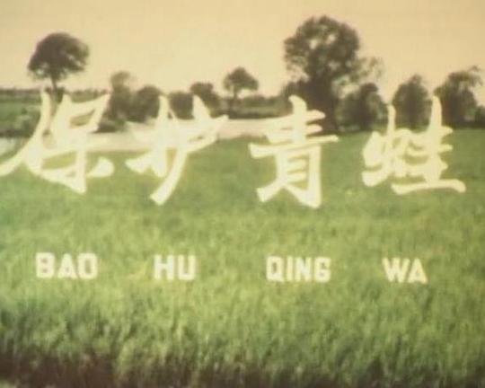 《保护青蛙》纪录片封面