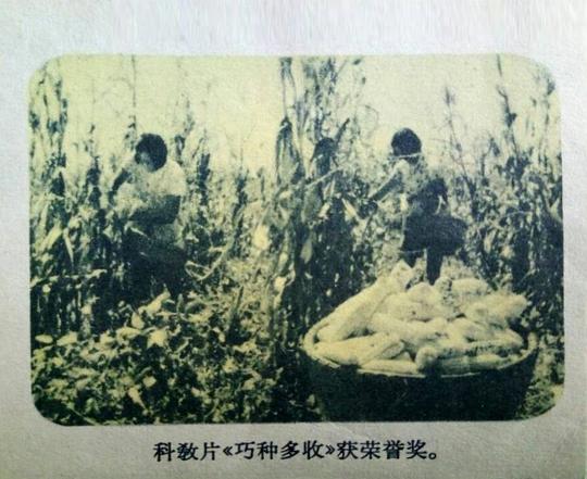 《巧种多收》纪录片封面