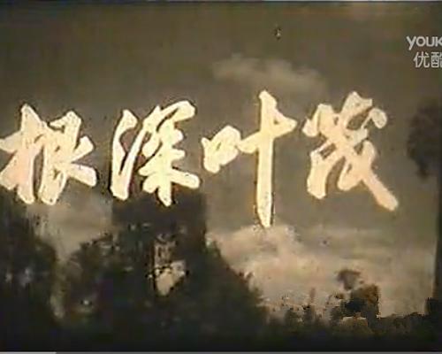 《根深叶茂》纪录片封面