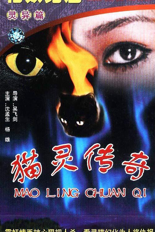 《猫灵传奇》电影封面