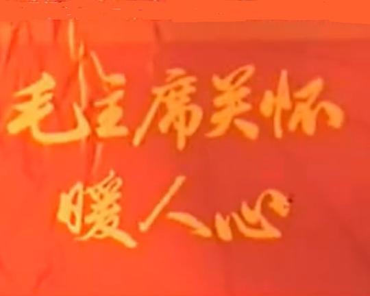 《毛主席关怀暖人心》纪录片封面