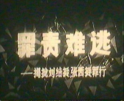 《罪责难逃——揭批刘结挺、张西挺罪行》纪录片封面