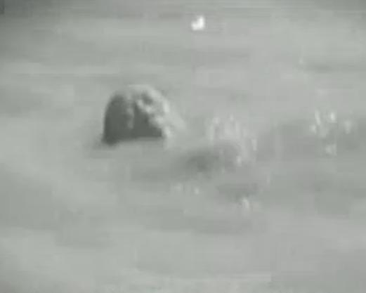 《毛泽东主席畅游长江》纪录片封面