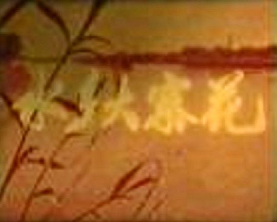 《水乡大寨花》纪录片封面