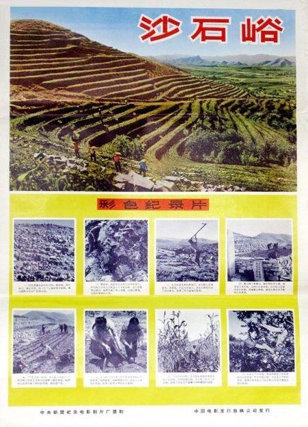 《沙石峪》纪录片封面