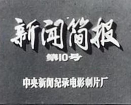 《新闻简报1973年第10号》纪录片封面
