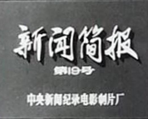 《新闻简报1973年第19号》纪录片封面