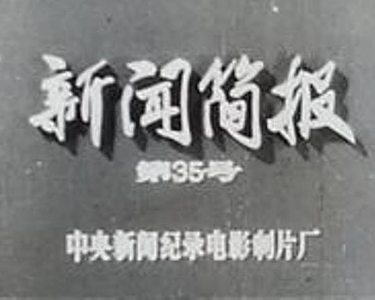 《新闻简报1973年第35号》纪录片封面