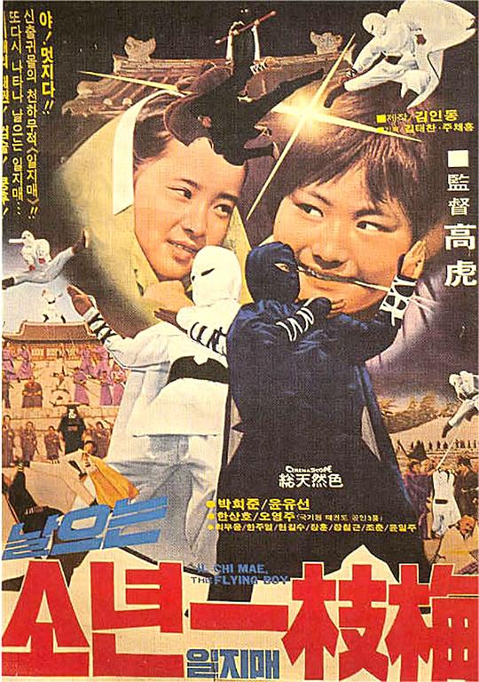 《飞侠一枝梅》电影封面