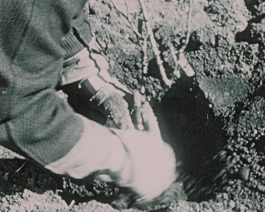 《Hybrid》电影封面