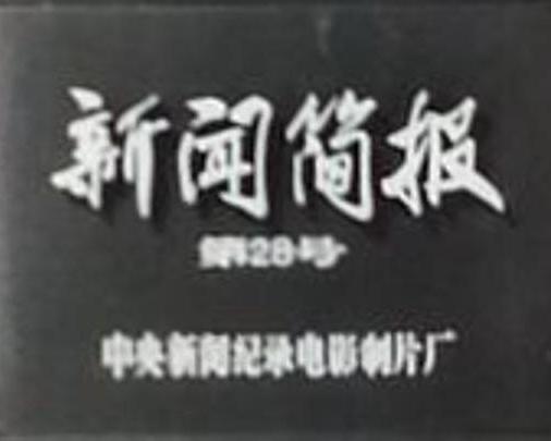 《新闻简报1973年第28号》纪录片封面