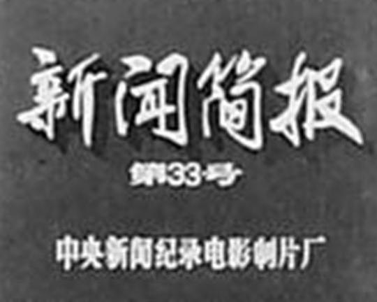《新闻简报1973年第33号》纪录片封面