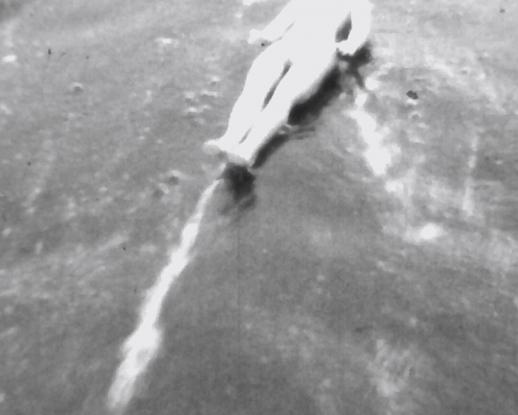 《今日开幕》电影封面