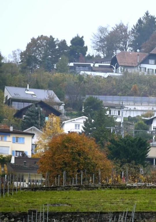 《瑞士来的礼物》电影封面