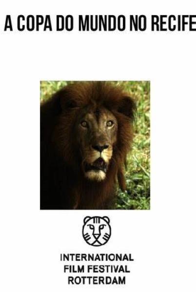 《世界杯赛在累西腓》纪录片封面