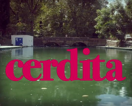 《肥猪》电影封面