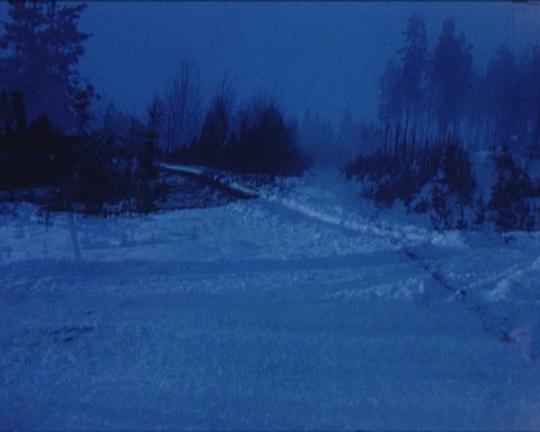 《Winterfarbe II》电影封面