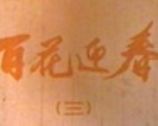 《百花迎春》纪录片封面