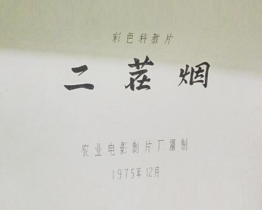 《二茬烟》纪录片封面