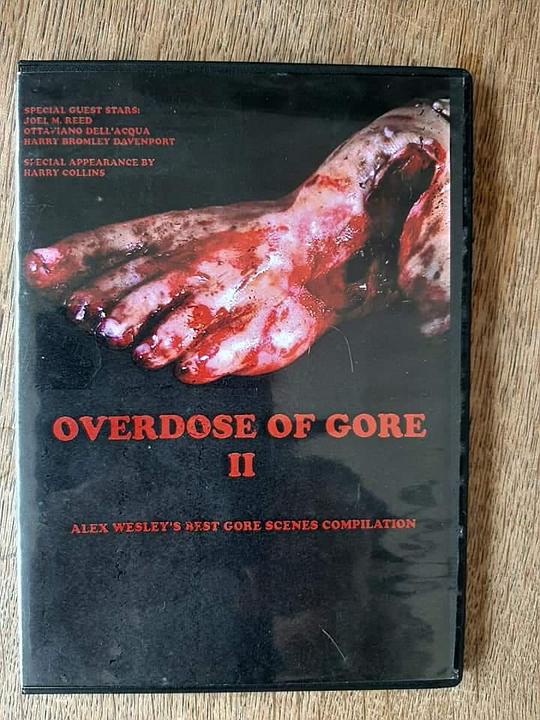 《Overdose of Gore II》电影封面