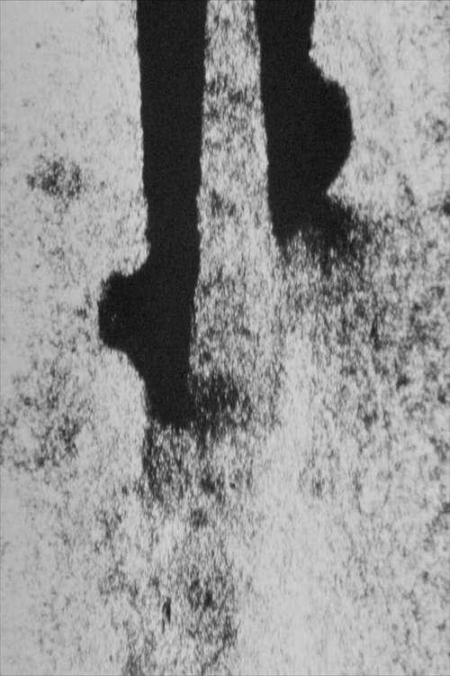 《PASSING》电影封面