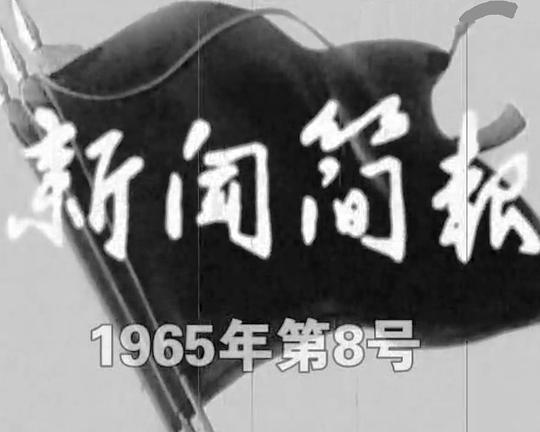《新闻简报1965年第8号》纪录片封面