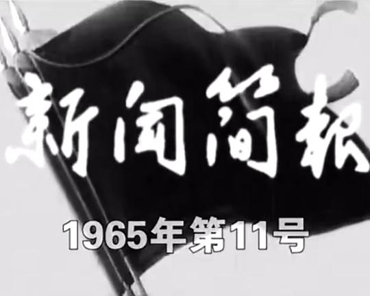 《新闻简报1965年第11号》纪录片封面