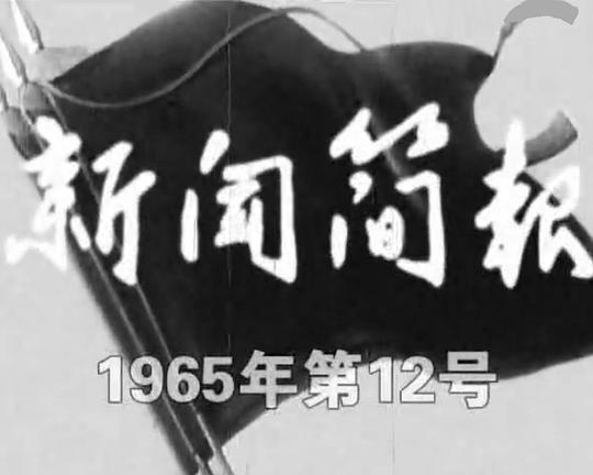 《新闻简报1965年第12号》纪录片封面