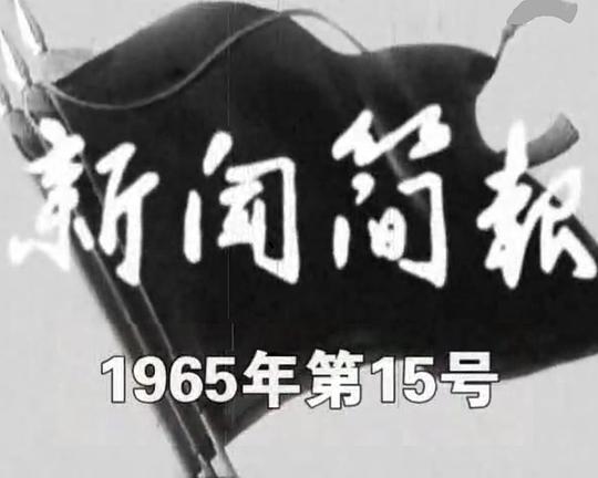 《新闻简报1965年第15号》纪录片封面