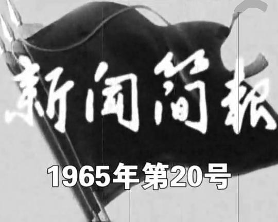 《新闻简报1965年第20号》纪录片封面