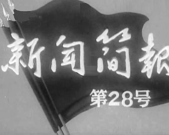 《新闻简报1965年第28号》纪录片封面