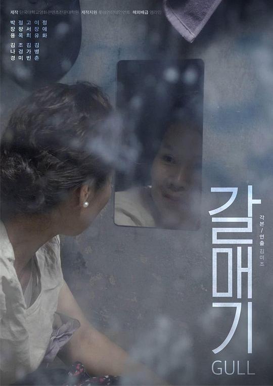 《海鸥》电影封面